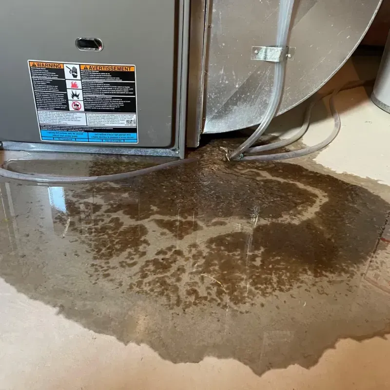 Appliance Leak Cleanup in Greenup, IL